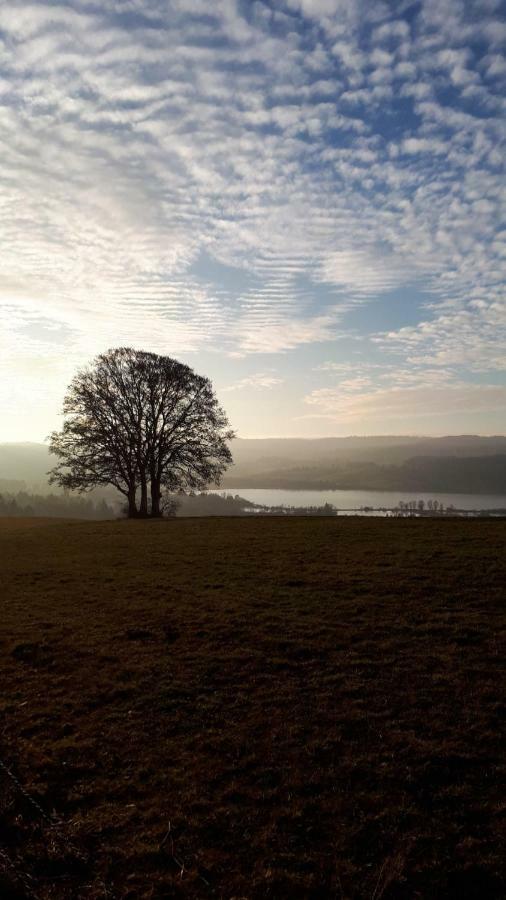 Le Charme Des 2 Lacs Malbuisson Buitenkant foto