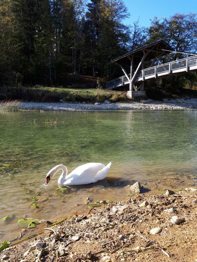 Le Charme Des 2 Lacs Malbuisson Buitenkant foto